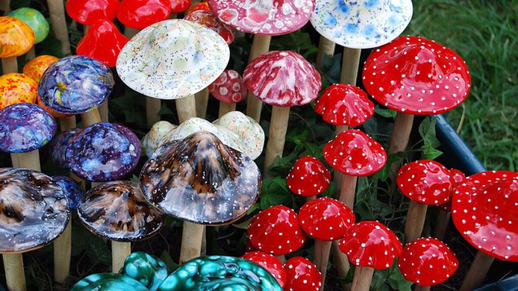 Best place to buy magic mushrooms online
